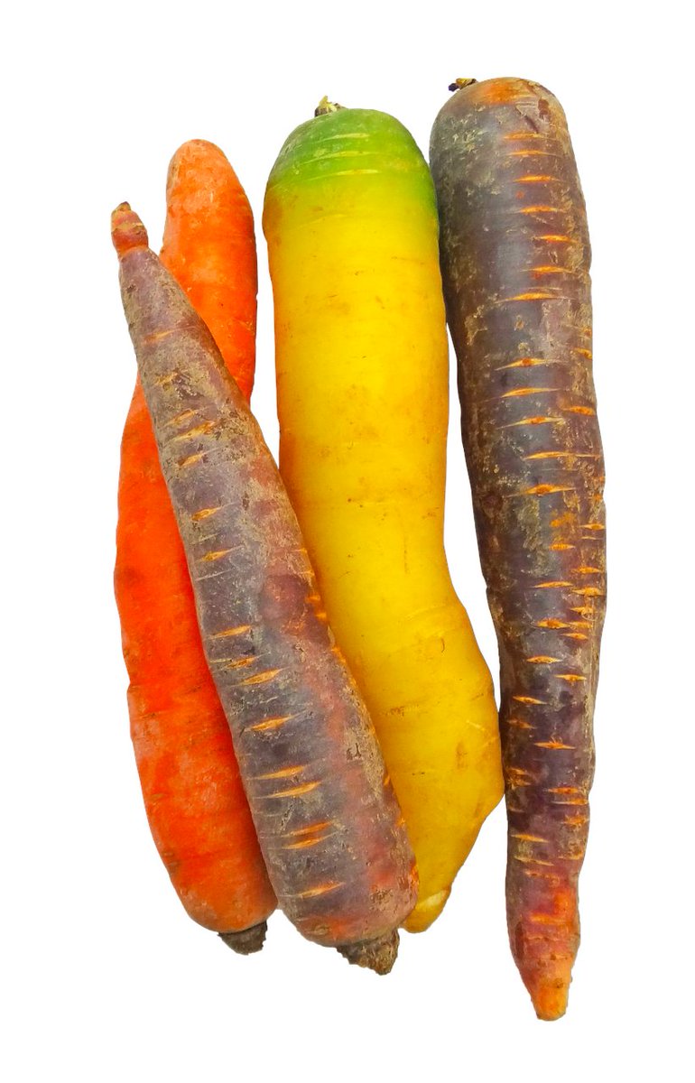 Benefits of Black Carrots: A Powerful Natural Healing Food - Mutlu Çiçekler Blog naturalremediesgoodhealth.com/2026/01/24/ben…