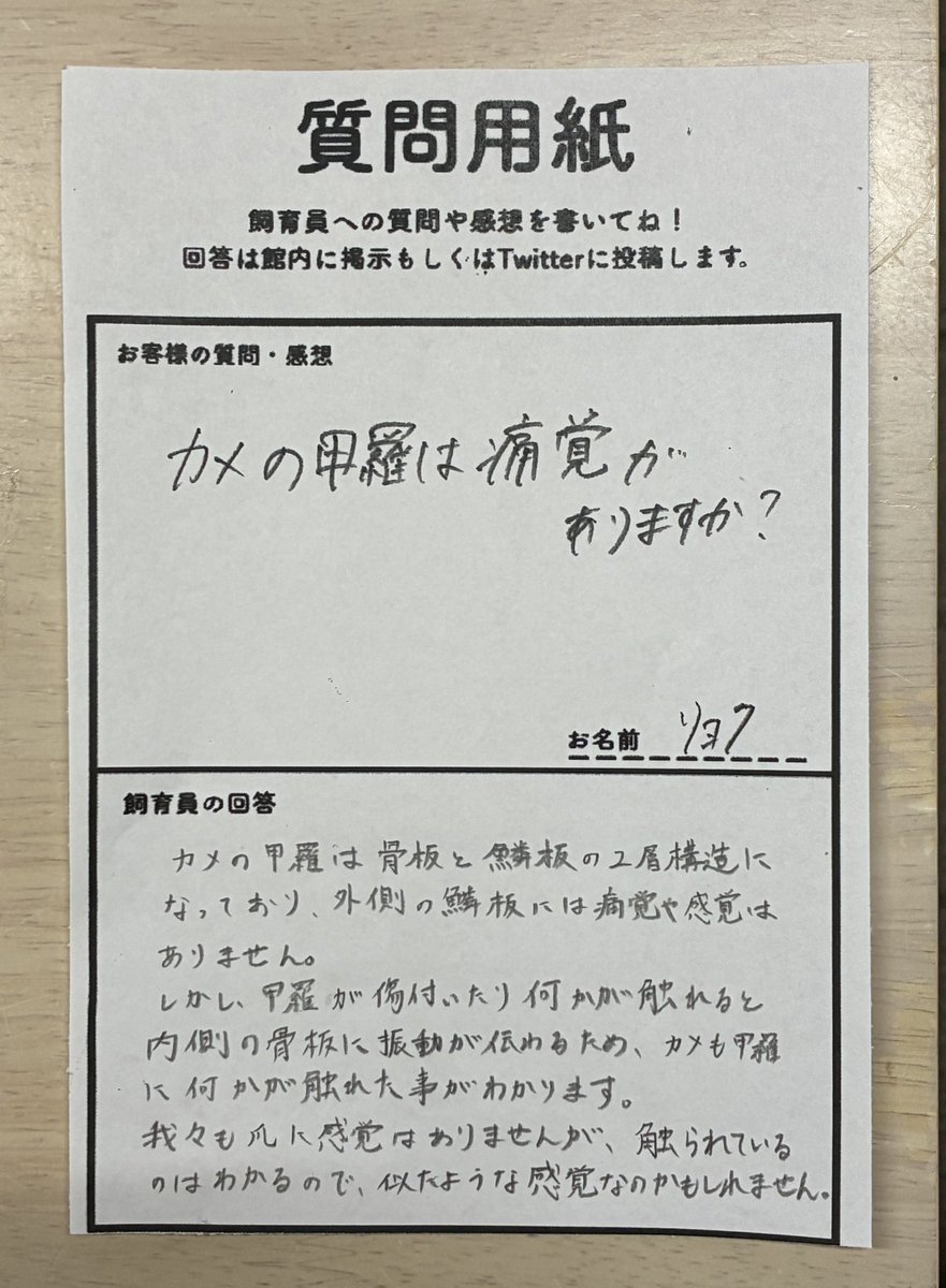 もげ【】 (@mogefjp2) / Posts / X