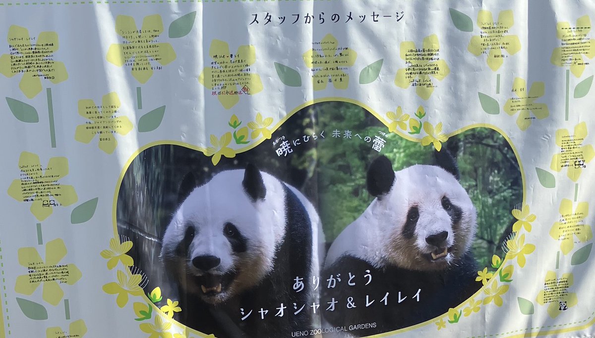 お疲れ様
レイレイ
そしてありがとう

運良く観覧チケット当たったので
とても嬉しかった🐼

#レイレイ　#パンダ