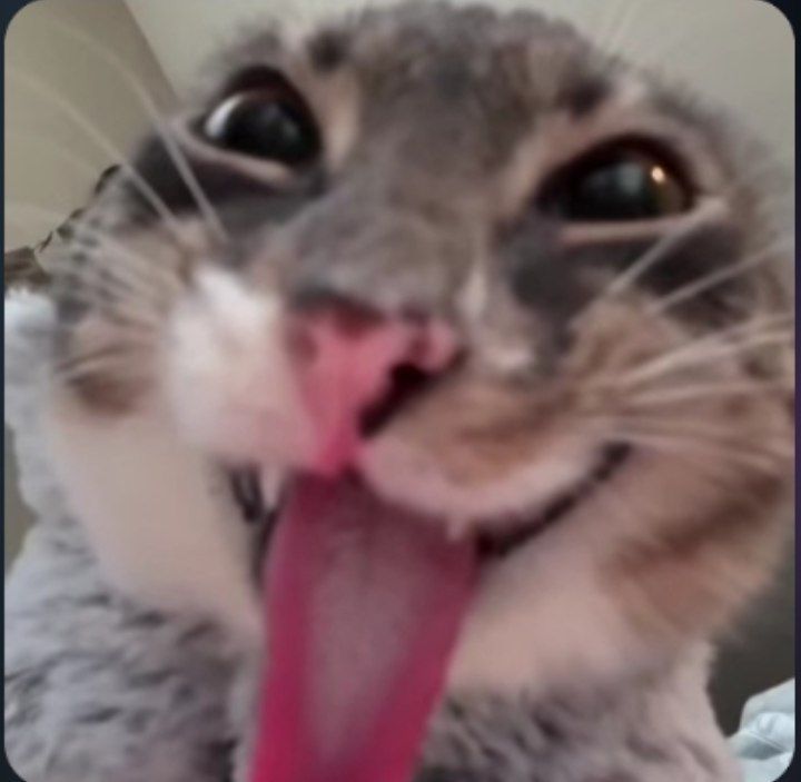 MMeow65011's tweet photo. @rebethewolf Me lo voy a pensar https://t.co/XfC8nmhL58