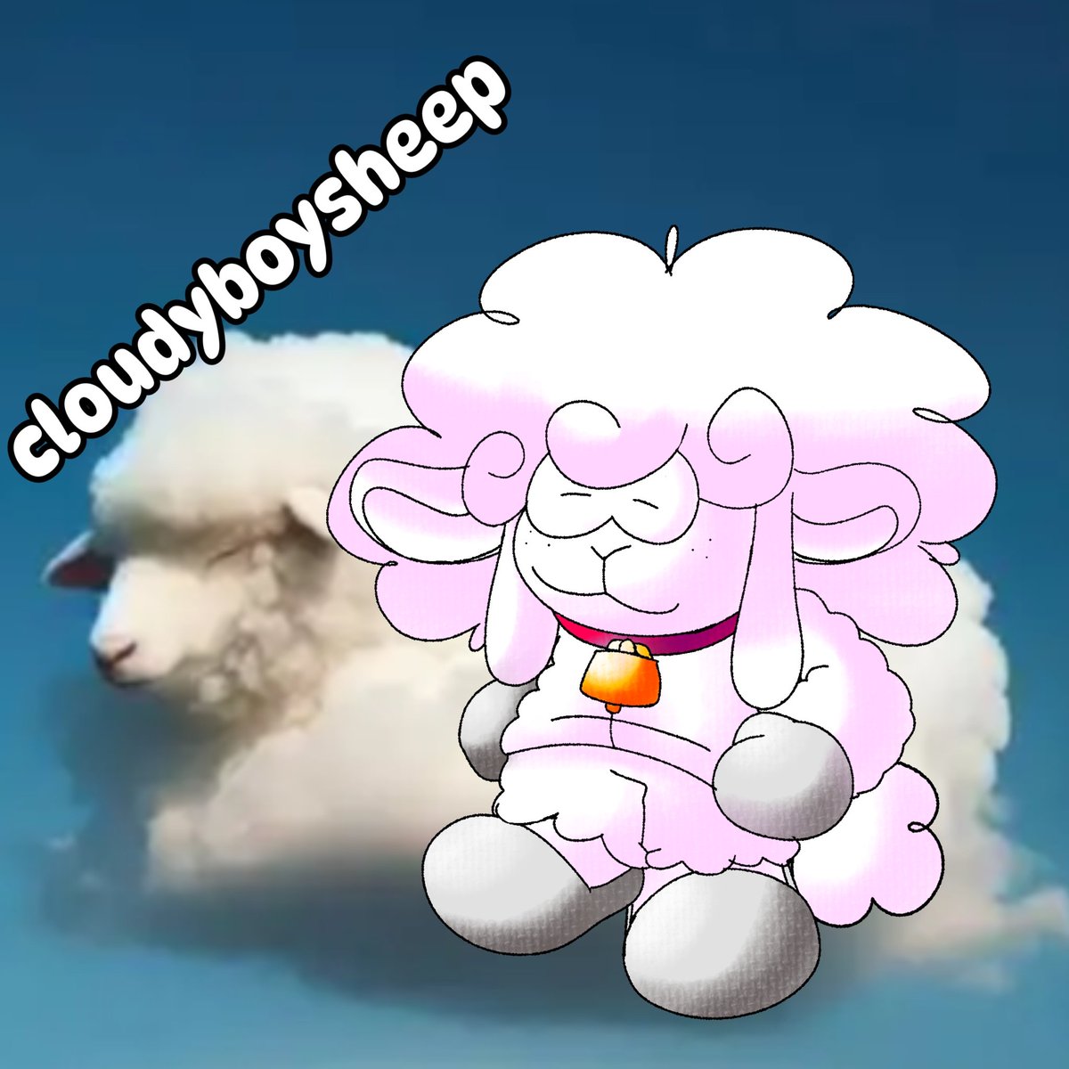Cloudyboysheep tweet media