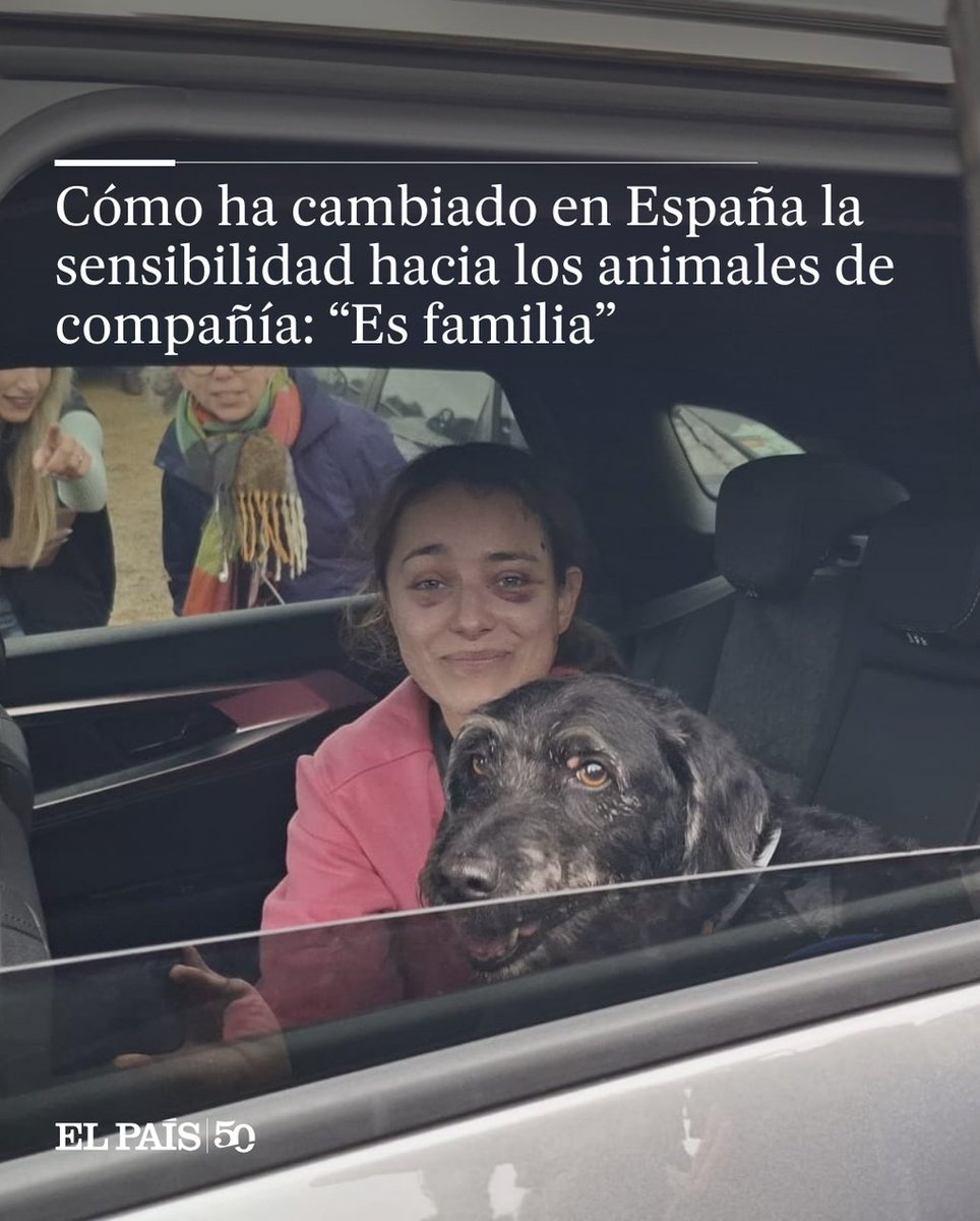 el_pais's tweet photo. La sociedad española valora más el vínculo afectivo con las mascotas que hace una década: "Hay personas que dicen que se está humanizando a los animales. Y yo digo que por suerte" https://t.co/XTHRFgNt3O https://t.co/aUTu2OEFTZ