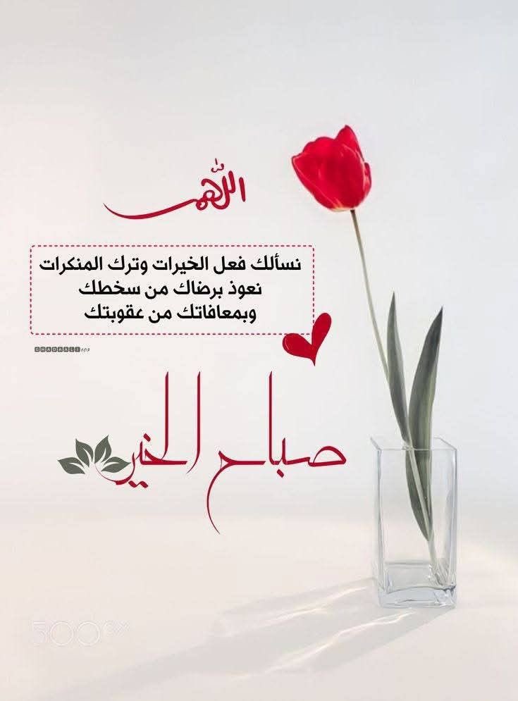mahalblushy2000's tweet image. #صباح_الخير_والسعاده #صباح_الخير 

🌸✨ وهج السكينة ✨🌸

“حين يهدأ القلب، تخفّ المخاوف، وتصبح الحياة أبسط وأكثر لطفًا مع كل خطوة.”
