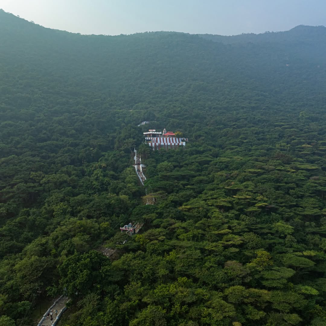 மேகமலைக்காதலன் ( A true lover of Megamalai ) tweet media