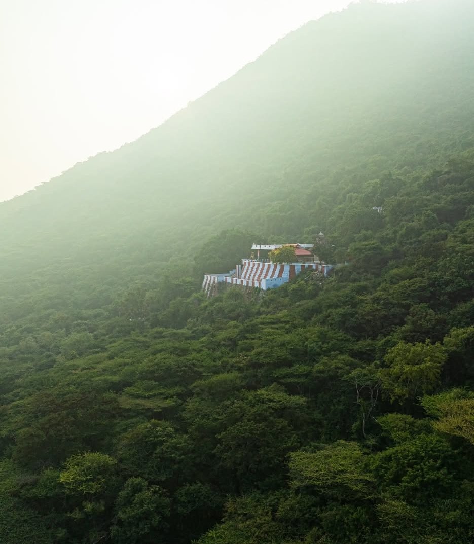 மேகமலைக்காதலன் ( A true lover of Megamalai ) tweet media