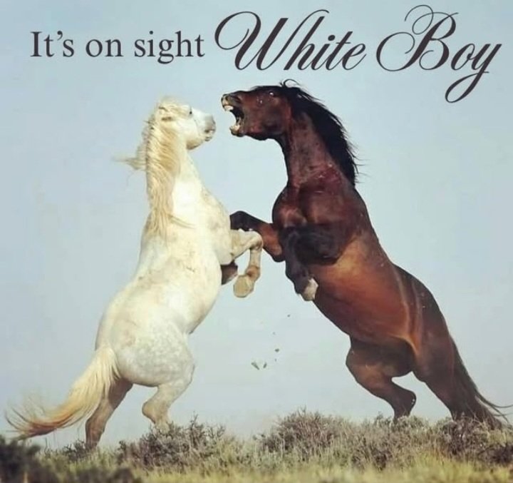 JustSomeCasualArson tweet media