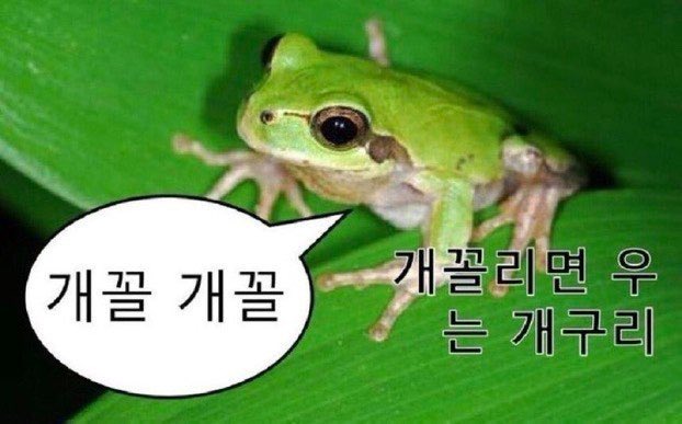본인 폰 두고 남친폰으로 깜찍하게 저런 사진을 남겼다는거 정말 미치겠네
