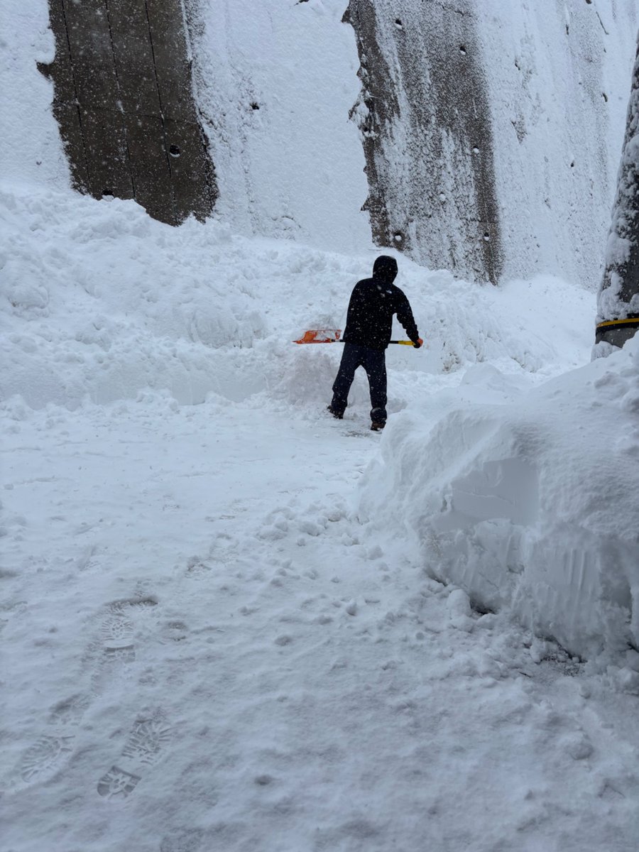よーく積もりましたよ⛄️傘の深さで見ていただければ・・・。
この前開いたツイキャス聴きながらの雪かきはなんとなく楽しい♪
2日分ほど頑張りました。
息子も引っ張り出して。