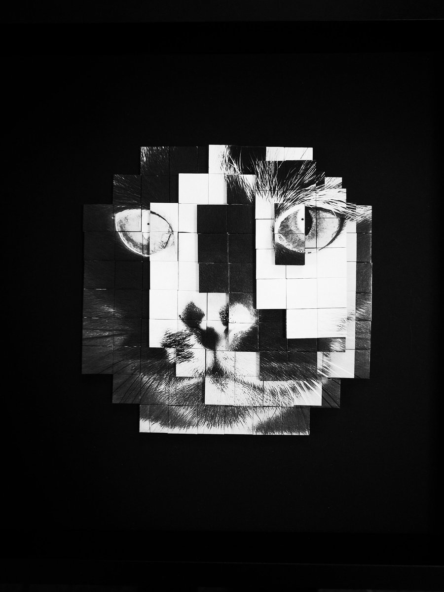 Completely new
「2.5D」