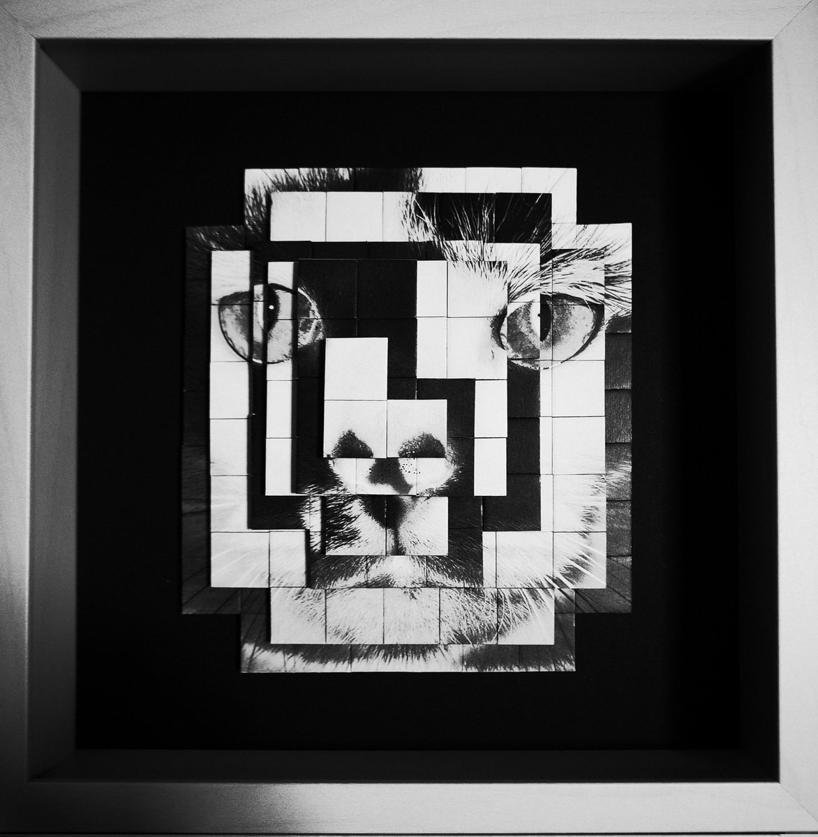 Completely new
「2.5D」