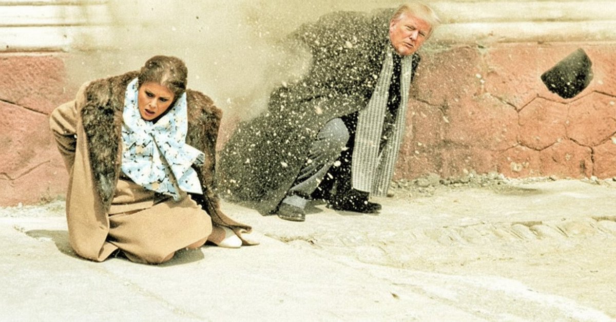 Monarch Butterfly tweet media