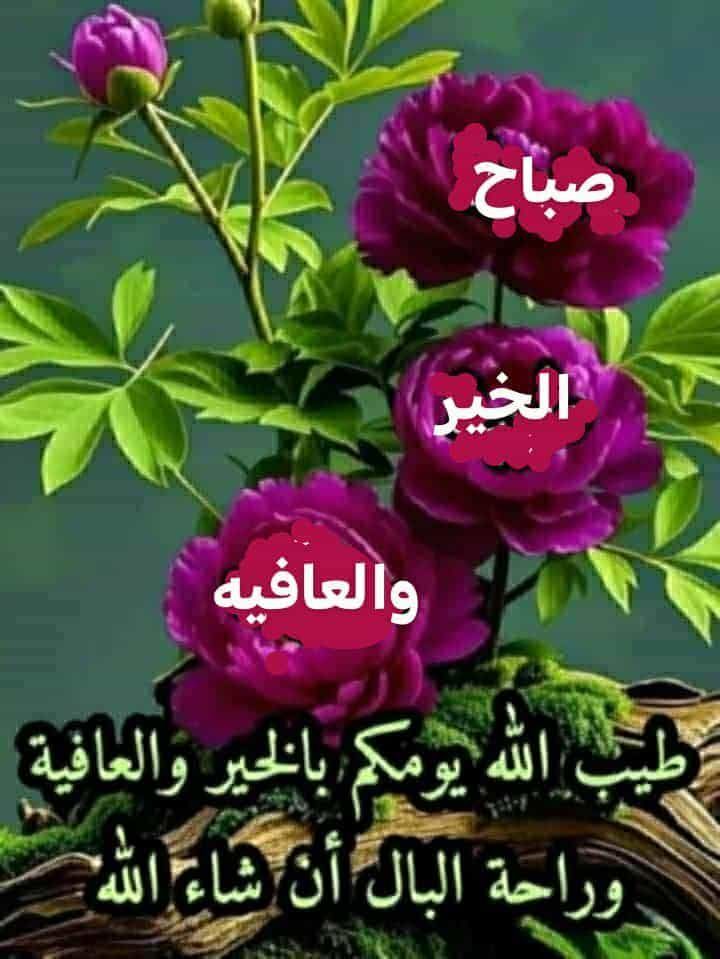 أزال الله عنا وعنكم هموم الدنيا،
وأنار لنا ولكم دروب السعادة،
وأجارنا واياكم من الشر والحسد،
وأدام علينا وعليكم الصحة والعافية،
وغفر الله لوالدينا ولجميع المسلمين والمسلمات 

          🍁 صباح الخير🍁