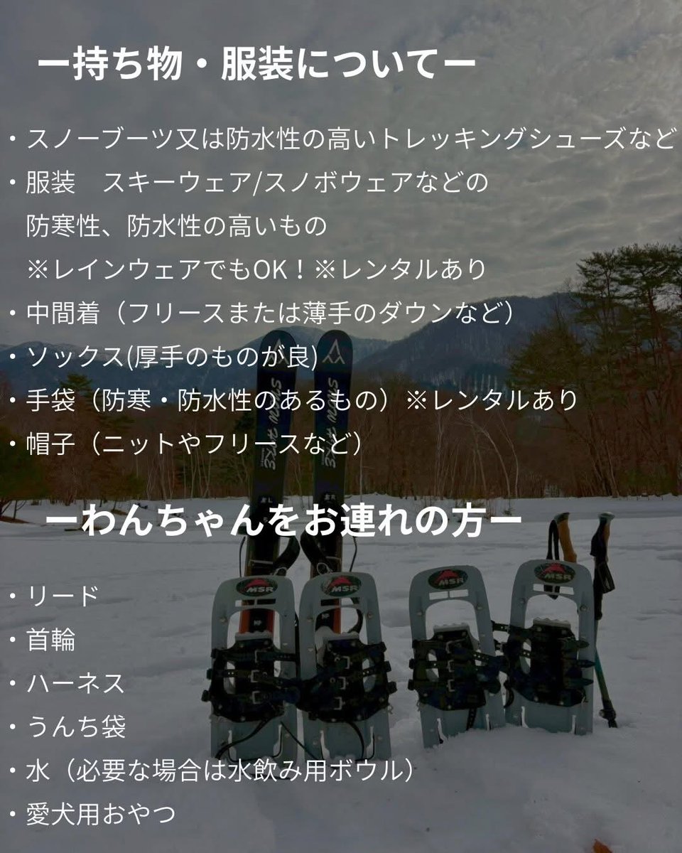 nature_planet's tweet photo. ネイチャープラネット×Wild-1初コラボ！
ワイルドフィールズおじかをフィールドにスノーハイク、スノーシュー体験会を行います。
★お申込み・お問い合わせはDMまたはこちらにて↓↓
https://t.co/rM6mjDRgEF
皆様のご参��を一同楽しみにお待ちしております！😎

#スノーシュー #スノーハイク #雪遊び https://t.co/5Xv9avOLs2