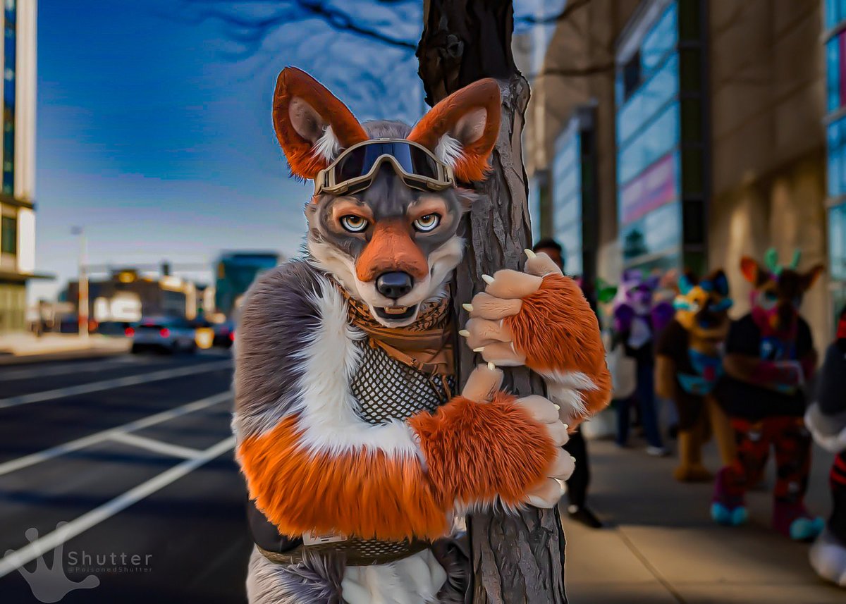 The Dog General tweet media