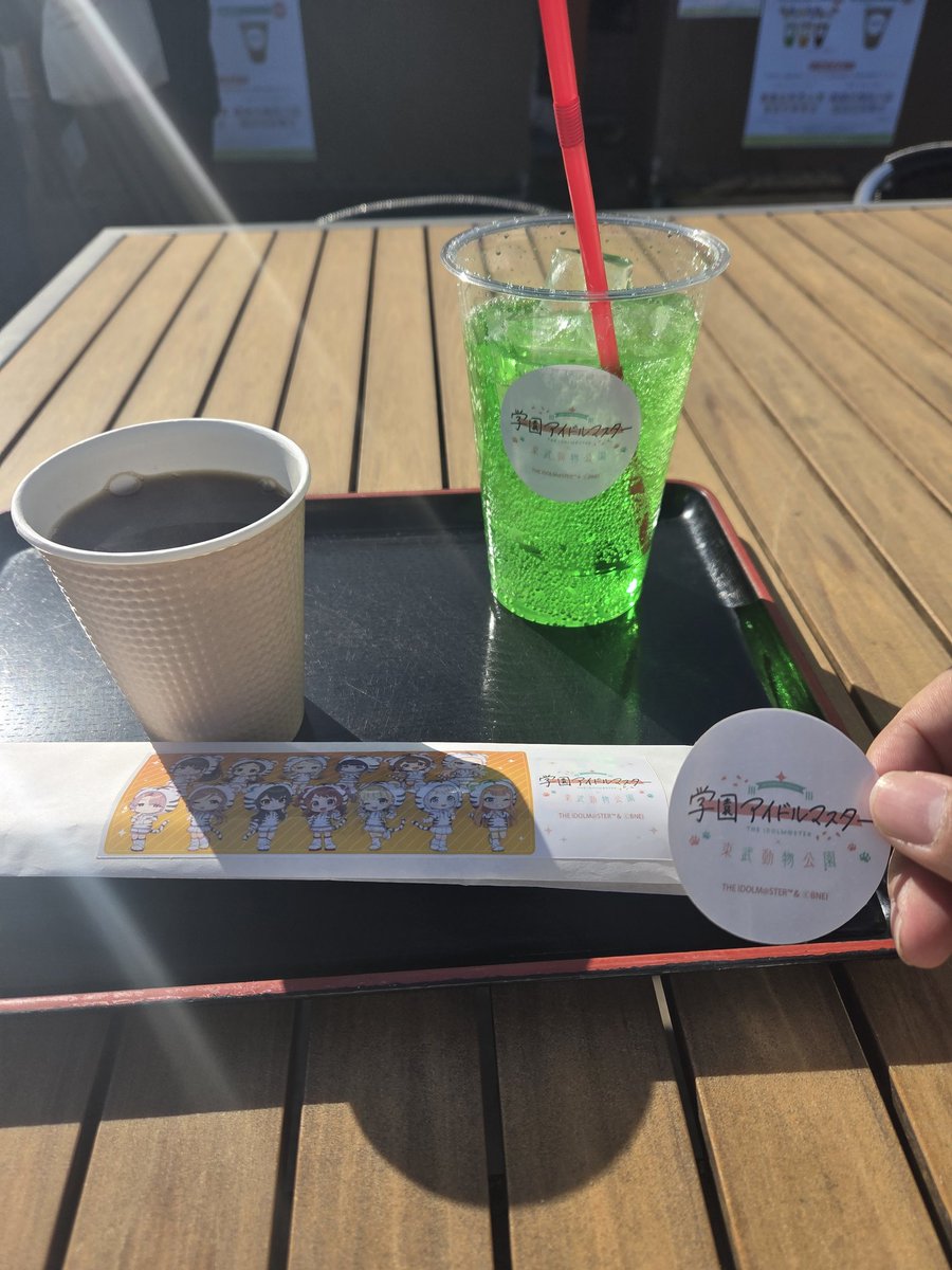 ラ*ク様 ☘️ラスト2☘️根充実❤️新芽❤️ワサワサ元気株❤️3265⭐️プチド 山は見えた方が良いよね⛰️ のれんで解決。 📷 窓のお写真をDM