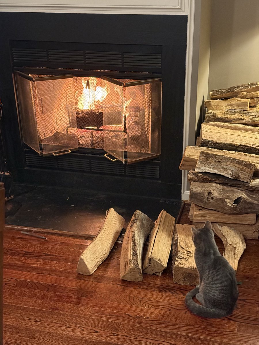 luigiscondo's tweet photo. The cats are lining up to get their allocated Wood Sniff, Dorian is lording over his fireplace, and eggplant Parmesan is being made. Snowstorm preparedness is a go 🫡 https://t.co/XRpEiQuReg