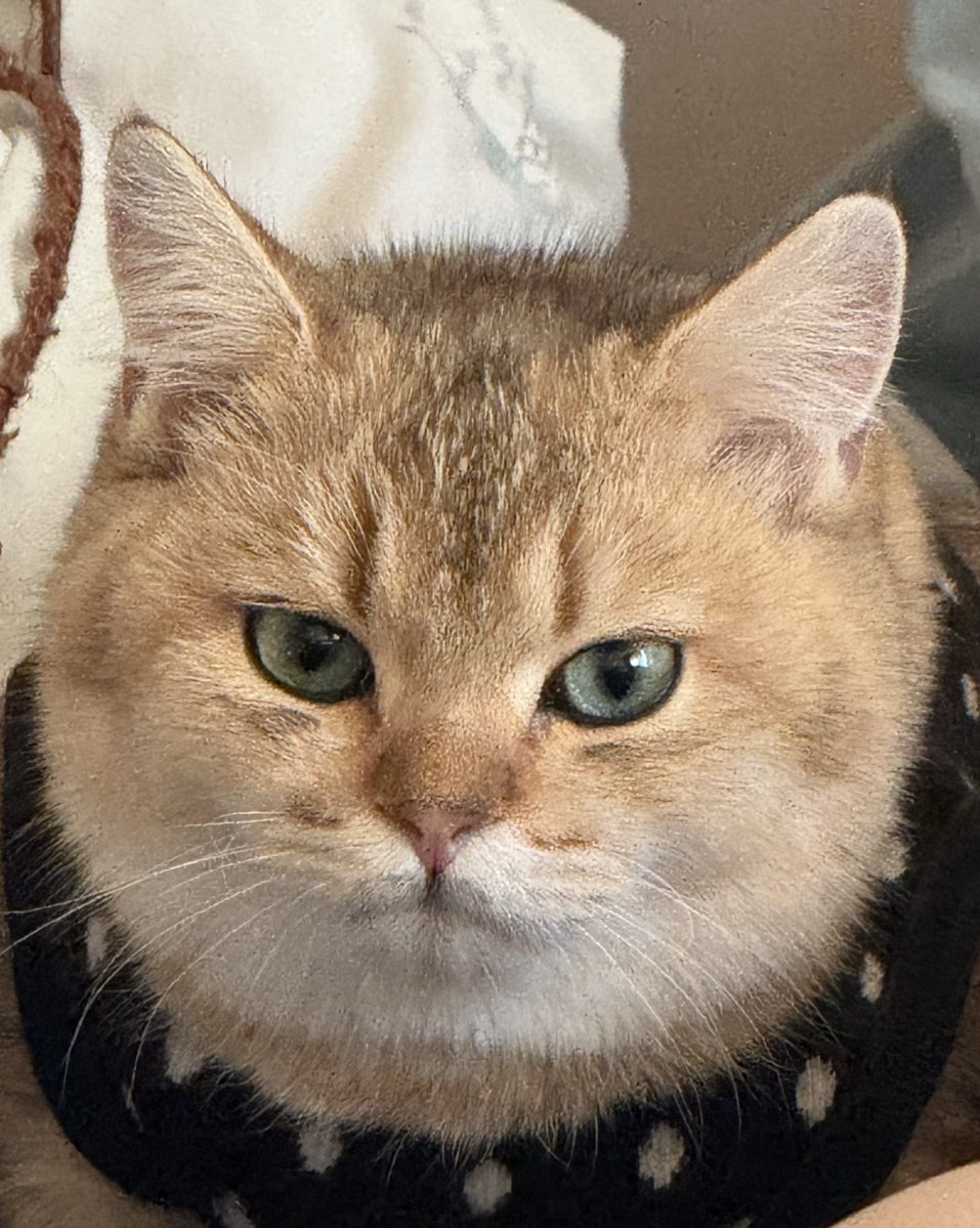 yoojeenoo's tweet image. เติมยุรอ้วนน