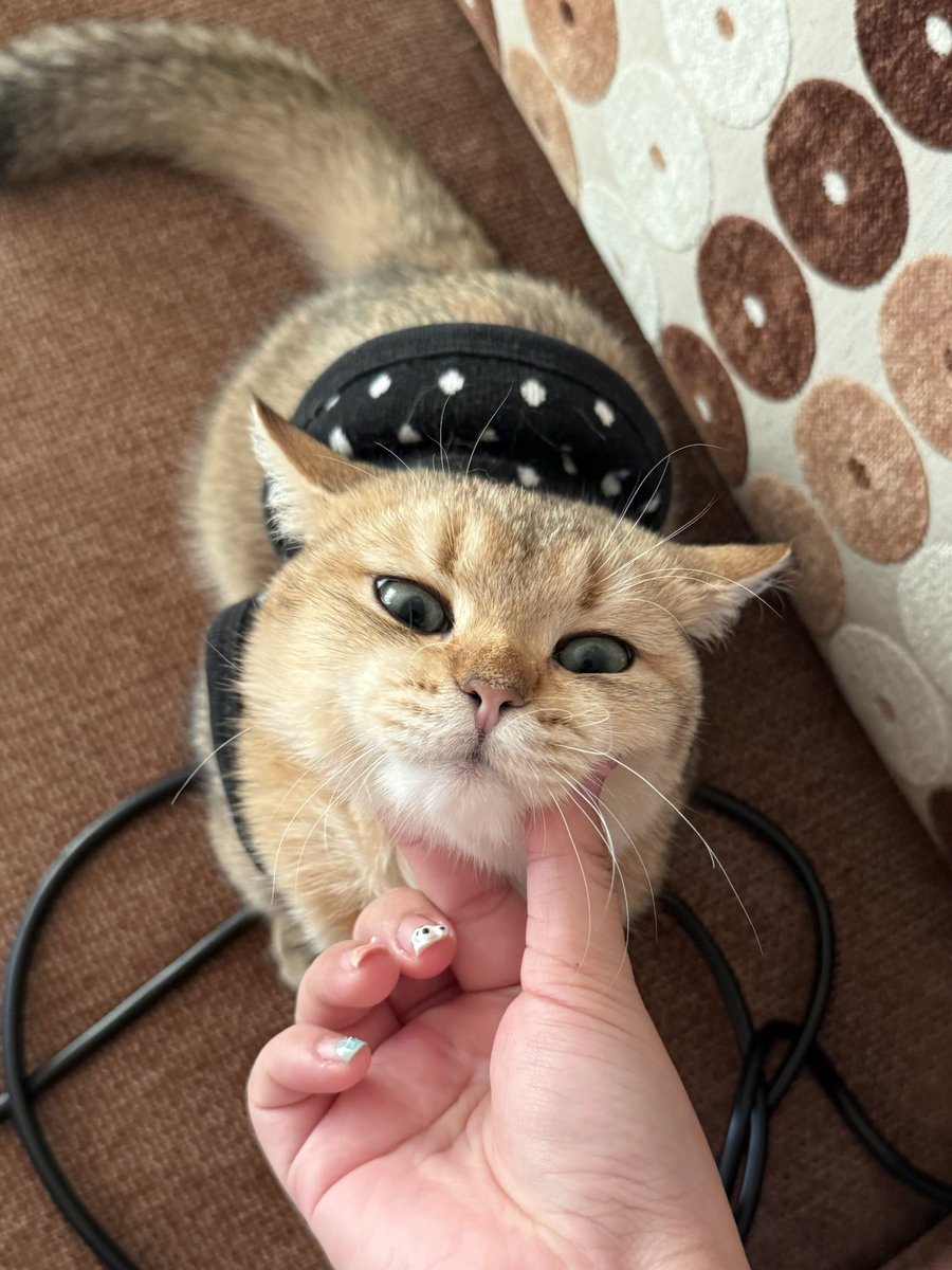 yoojeenoo's tweet image. เติมยุรอ้วนน