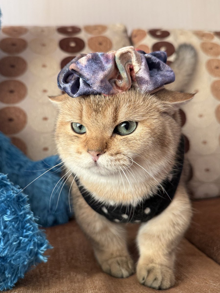 yoojeenoo's tweet image. เติมยุรอ้วนน