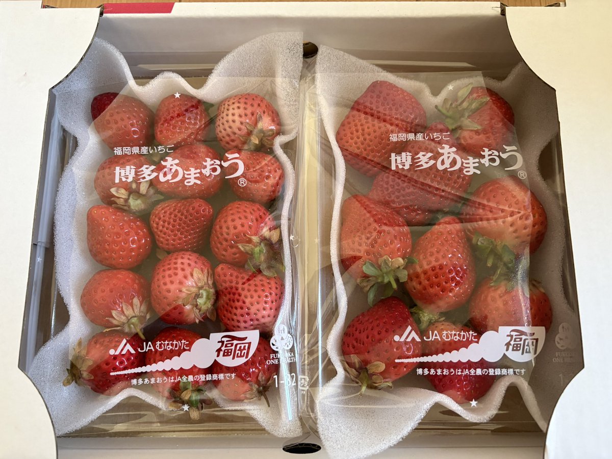 いちごさまのページ KEISUKEさん@15famer からイチゴが届きました🍓 届いた瞬間に子ども達
