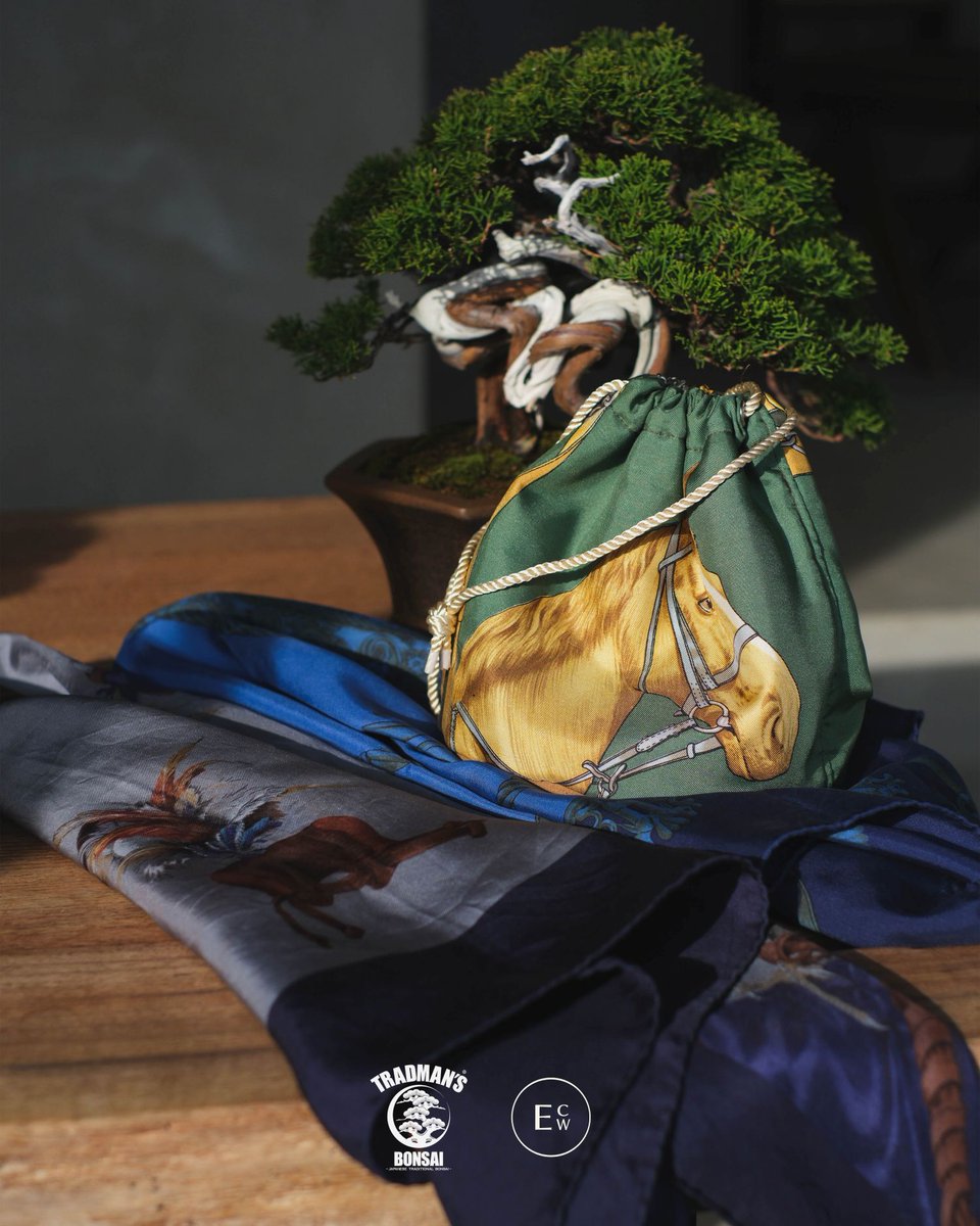 明日から🕰️】TRADMAN'S BONSAI EXHIBITION / POPUP STORE 江口時計店