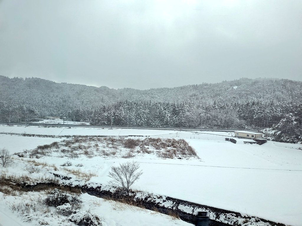 顔上げたら車窓が一面雪景色でプチパニックになった