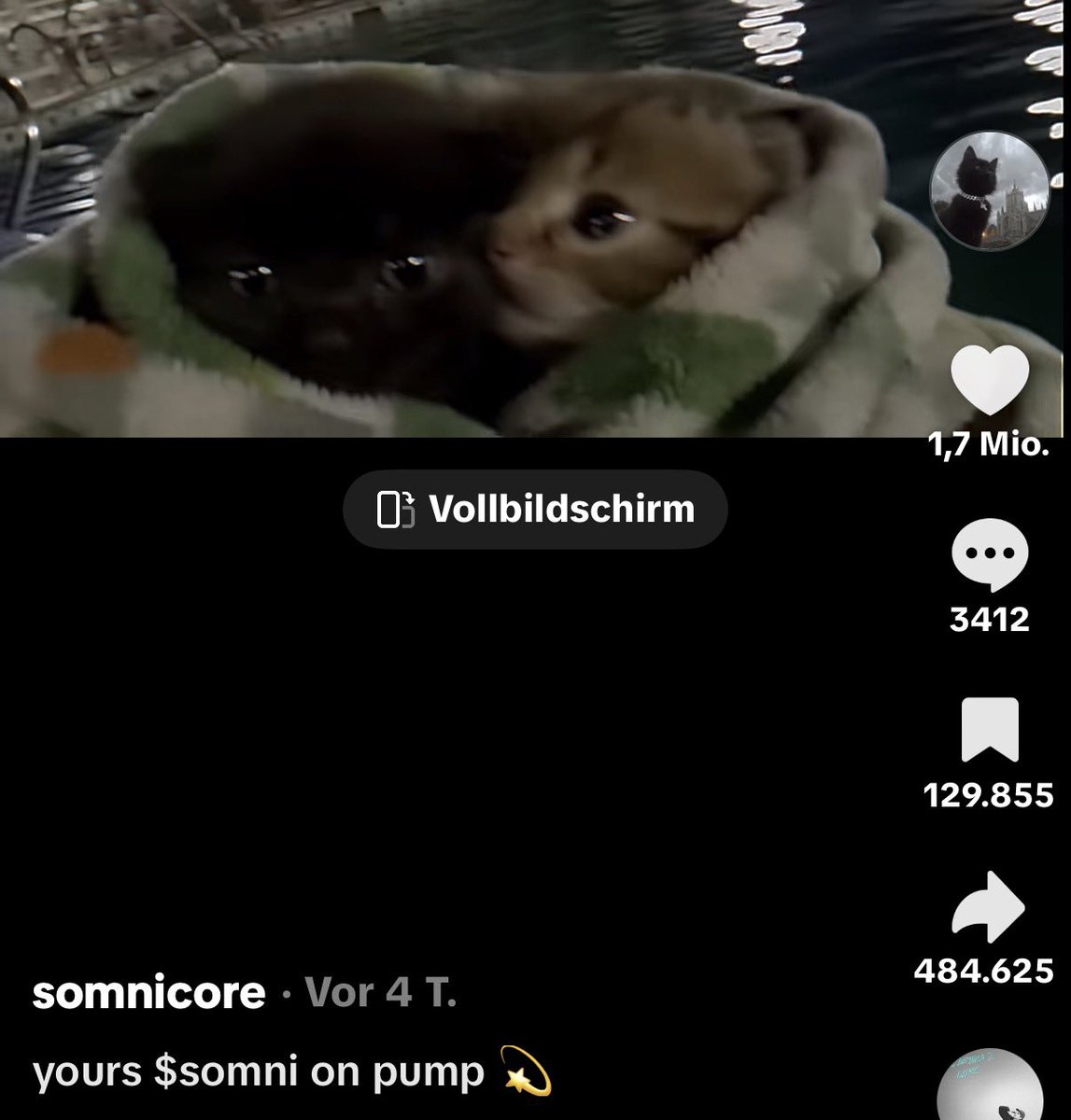 88xpascal's tweet image. i swear $somni Must be the Next TikTok Runner

It’s the Most viral Cats on TikTok

44M+ Likes

+ Creator is DEVVING IT.

WHAT ELSE YOU WANT?

Trust me with this one..

sitting at 120k mc..