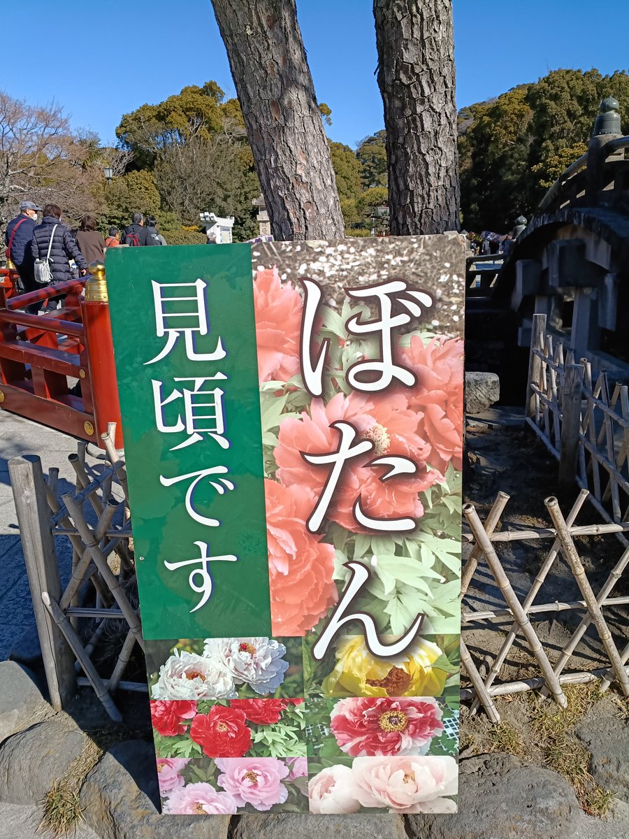 ねぶ🚗³₃ (@Nebuoo) / Posts / X