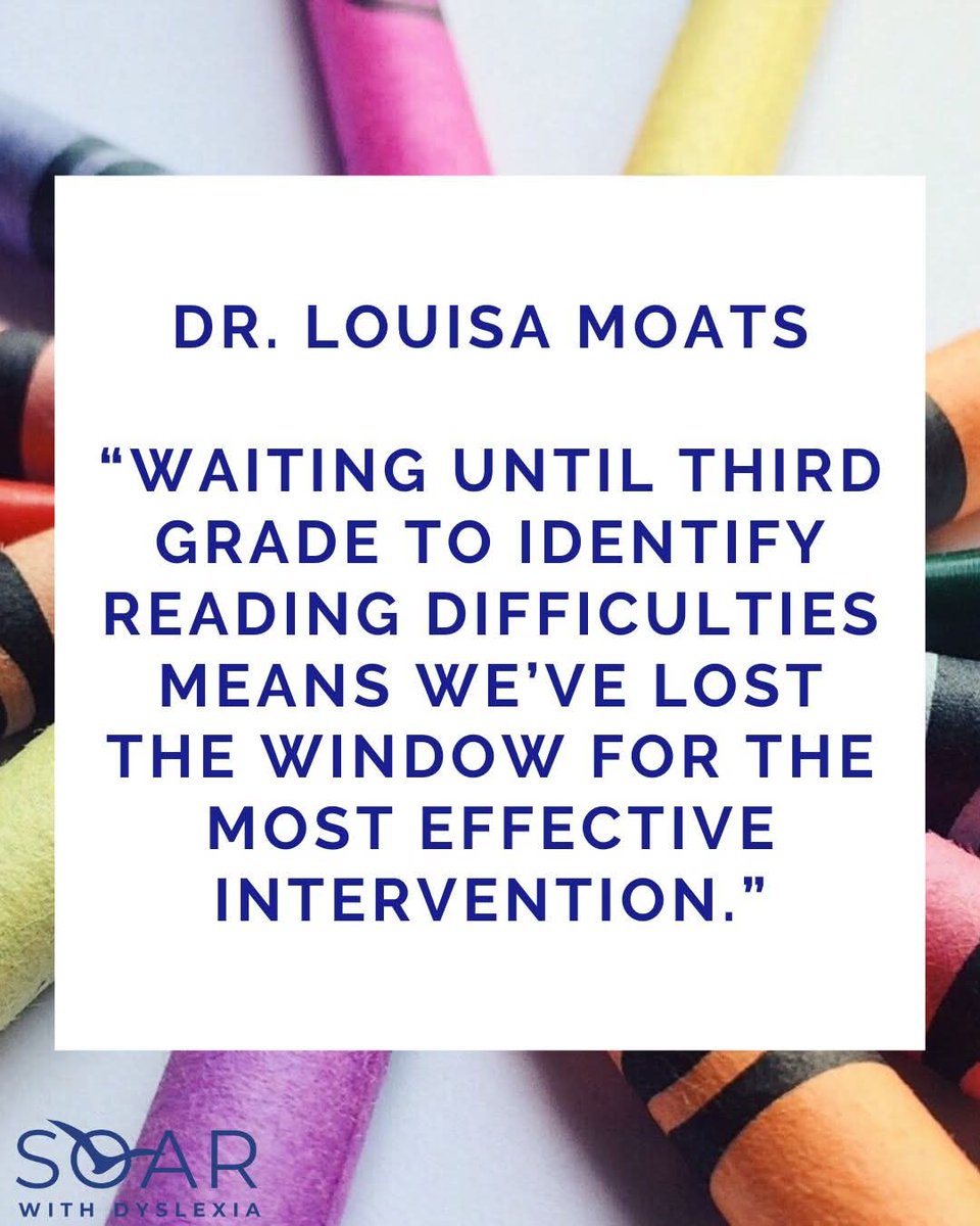 Paula P. tweet media