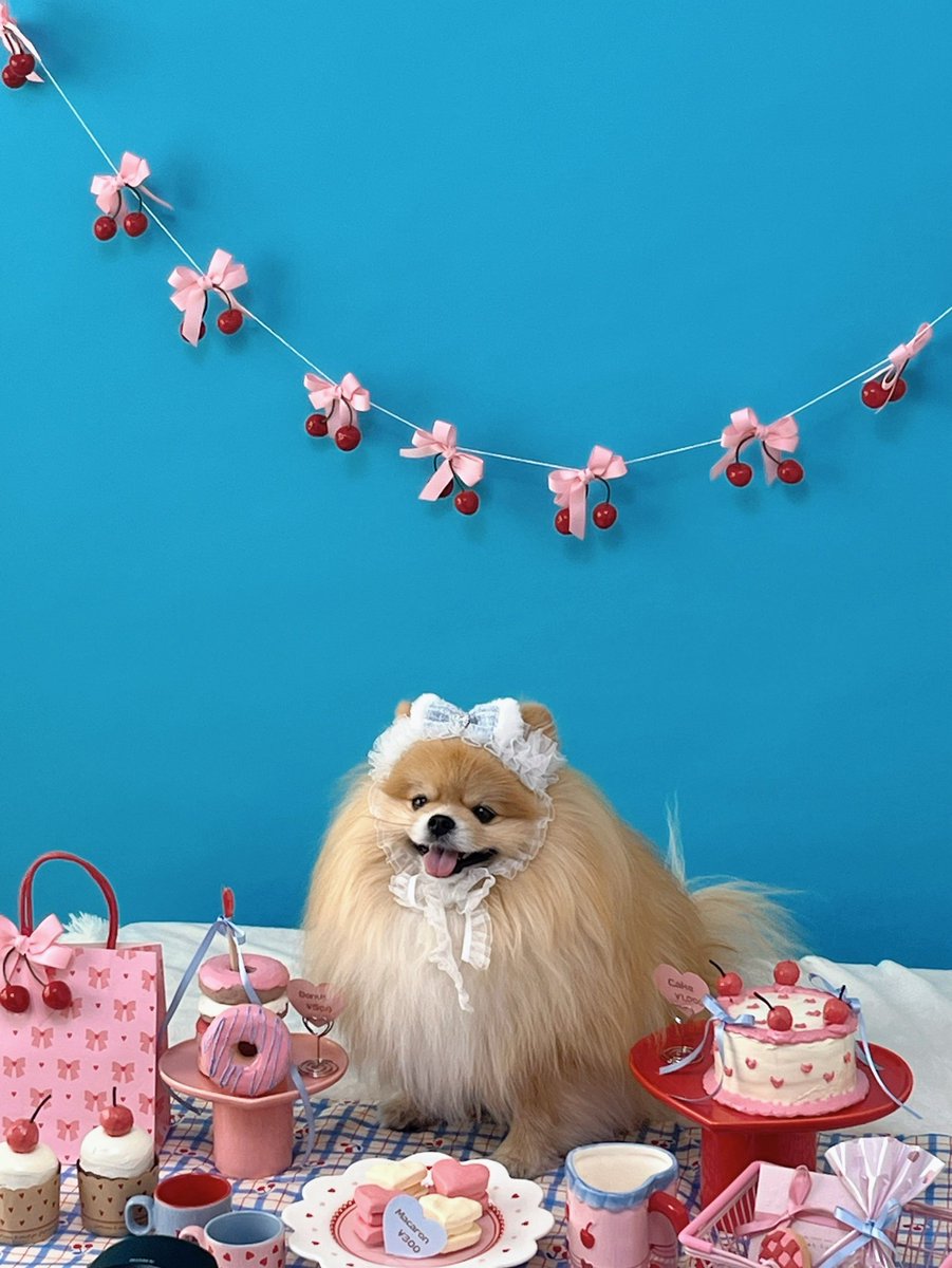 こんなにかわいくモデルさんができるし、持ち時間終了5分前にはじぶん