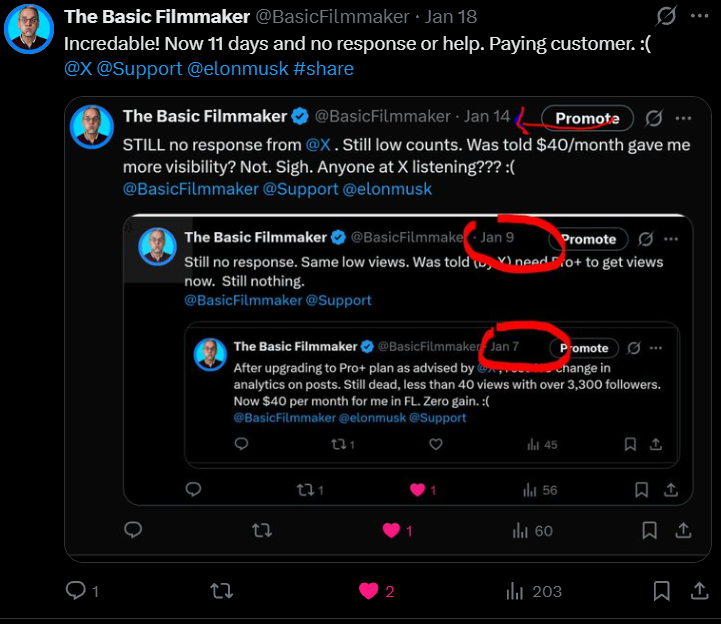 The Basic Filmmaker tweet media