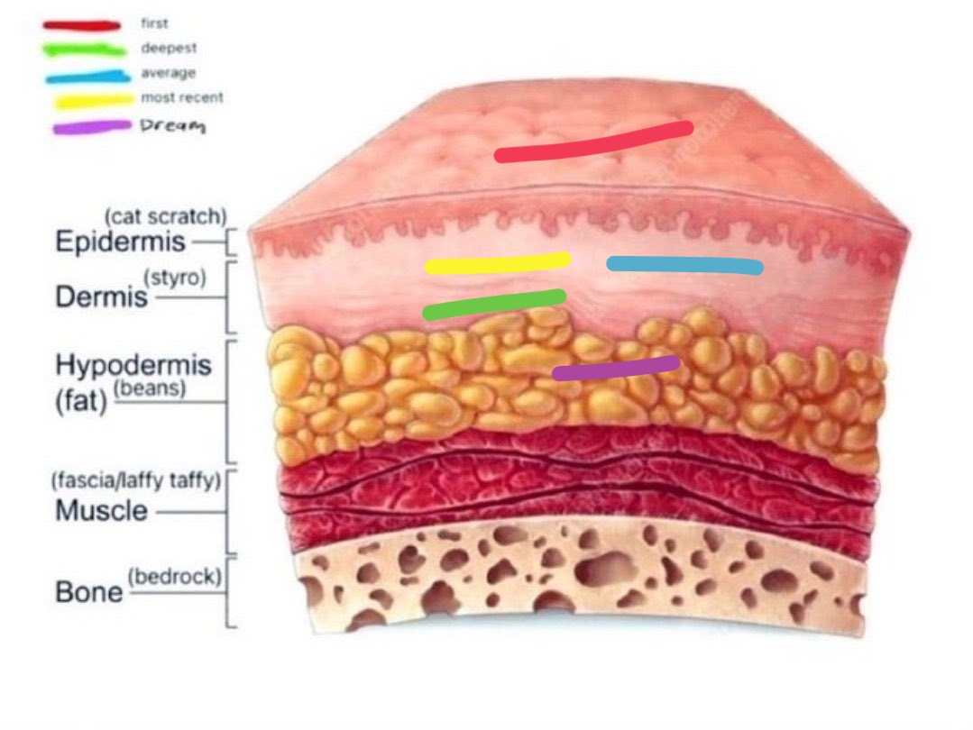 powderedpluto's tweet image. 