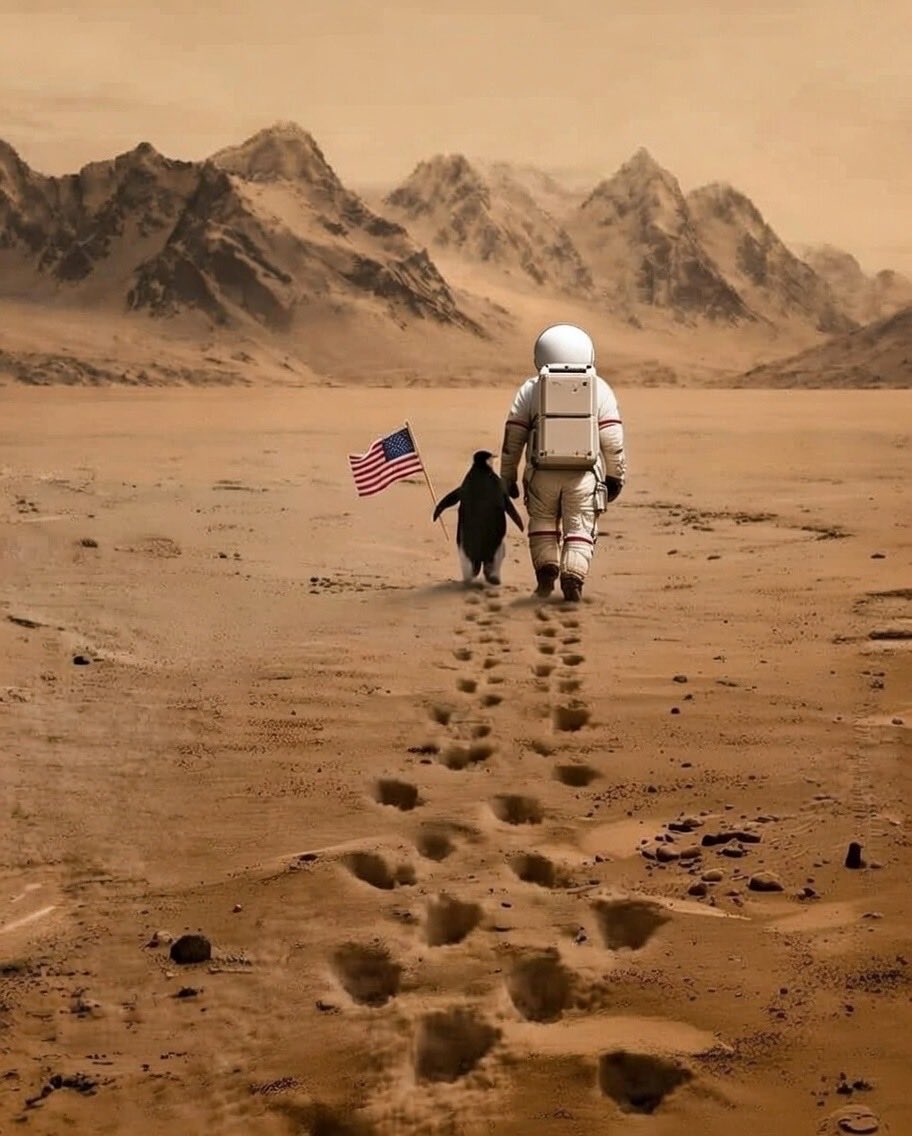 4aole's tweet photo. @elonmusk @jeffreyweichsel @WhiteHouse https://t.co/OXaGp8QljH
