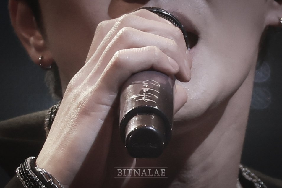 bitnalae/rest/slow tweet media