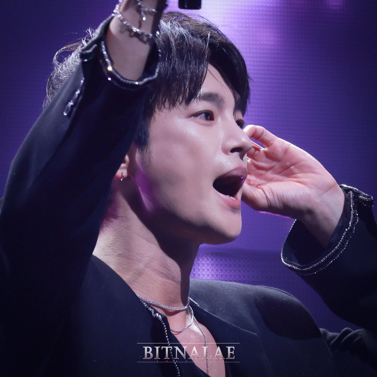 bitnalae/rest/slow tweet media