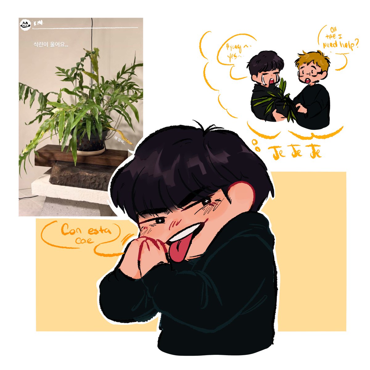 🐨🪴🐻
#taejoon