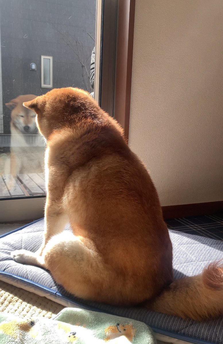 ひよこ様ついっち (@anohito_dareda) / Posts / X