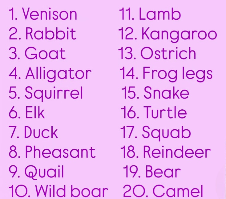 Denise 🤌🐾🇮🇹 tweet media