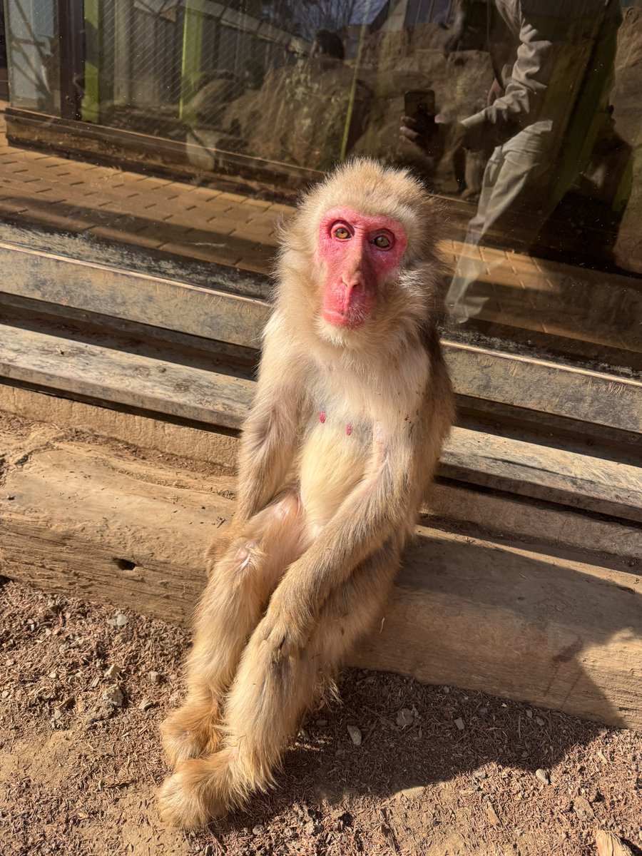 ここ数日気温が低くなってきましたが、日向ぼっこをして寒さを