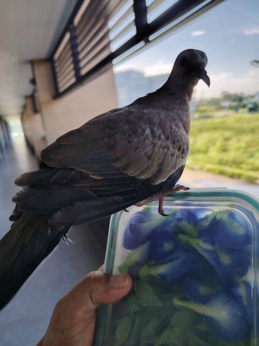 ขนาดนกเขายังรู้ว่าเราใจดี  
                  แล้วคุณรู้มั้ยว่าเราใจดีมาก...
#LGBTQIA #เลสเบี้ยน #สตรีหมายเลขสี่