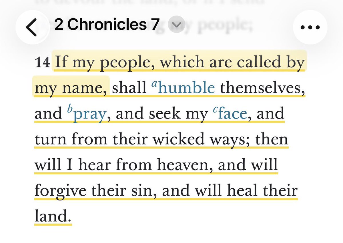 In Defense of Family | Megan tweet media