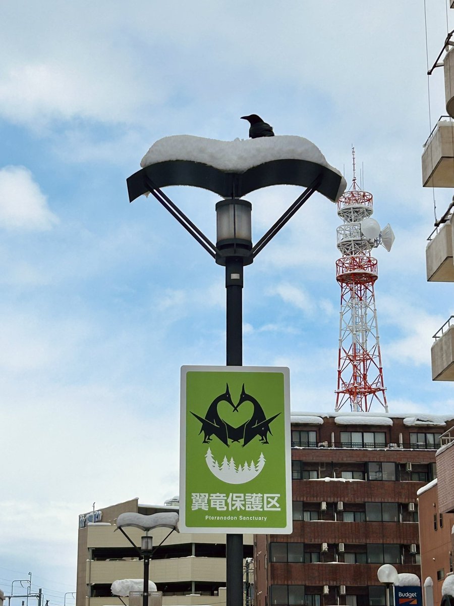 翼竜保護区 #カラス