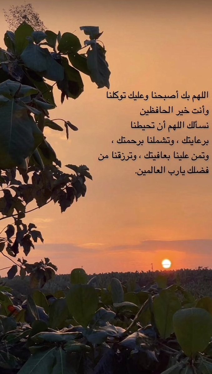 #صباح_الخير 

اللهم اجعل لنا في هذا الصباح ؛
نصيبًا من السعادة،
   وتوفيقًا يسبق خطواتنا،
        وبركة تحلّ في أوقاتنا،
                 وقلبًا لا ينسى ذكرك 🤍

اللهم اكتب لنا يومًا أجمل مما نتمنى ✨

#صباح_الأشياء_المُشرقة 
#صباح_الخير_والسعاده_للجميع