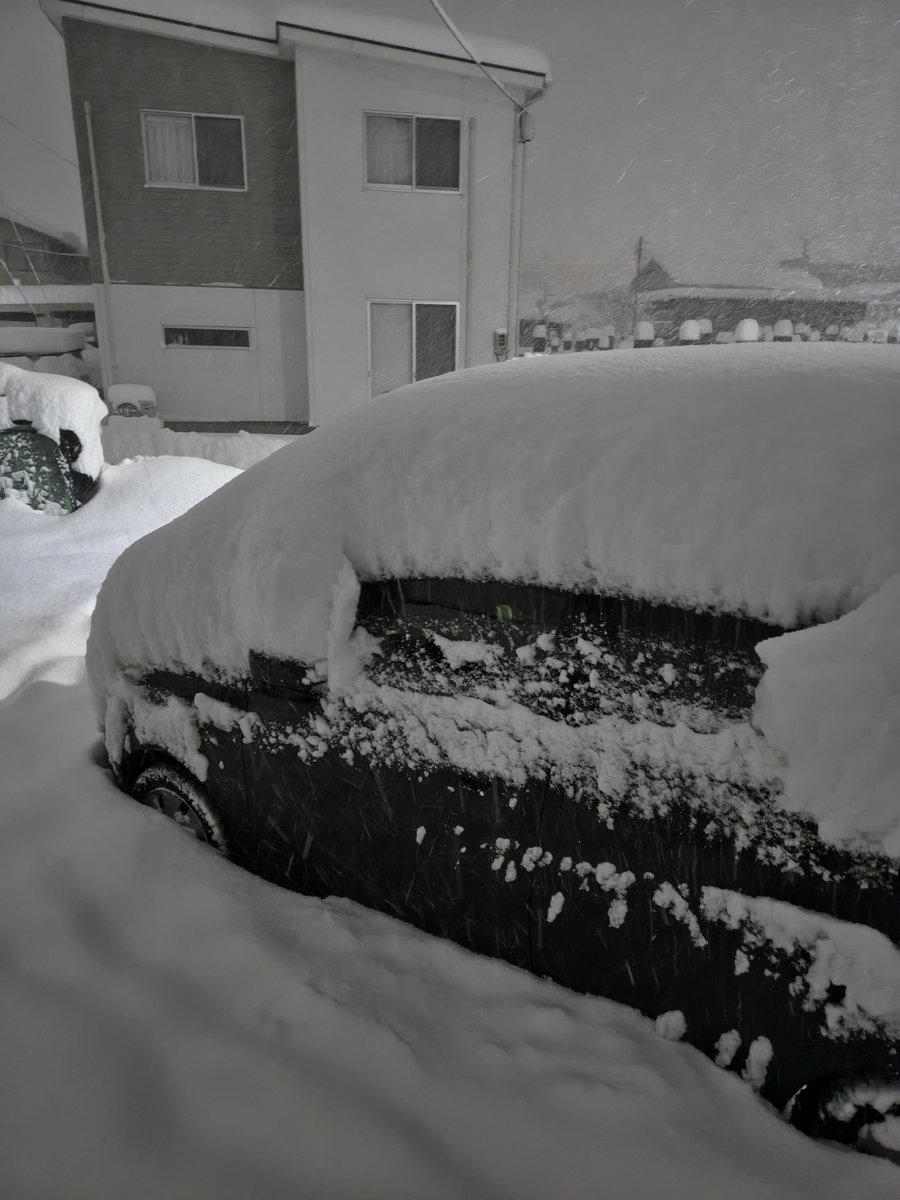 bivra's tweet photo. 这雪真是下得够够的了😂 https://t.co/GUiP70FB99