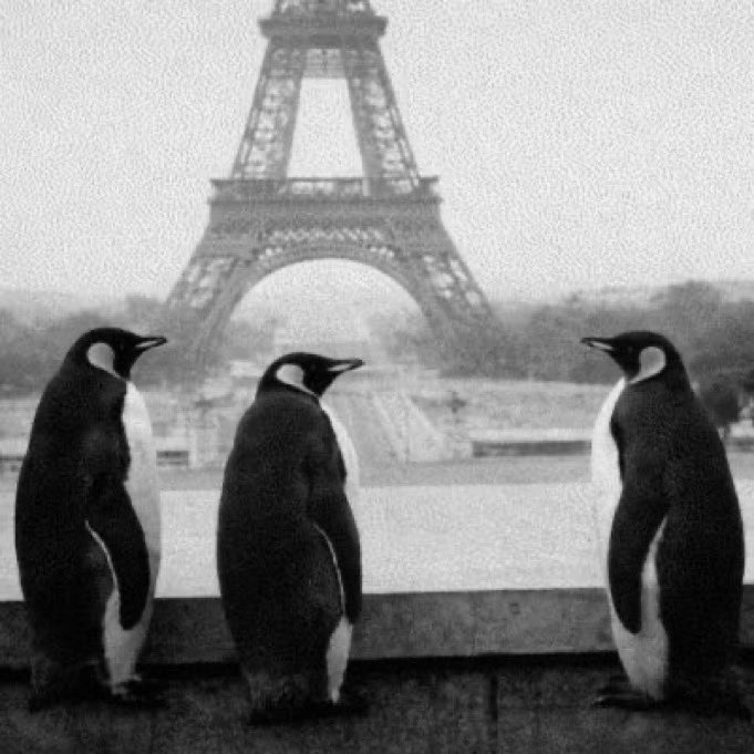 🐧 $PENGUIN WHITELIST IS OPEN 🐧

nietzscheanpenguin.lol/whitelist/

CA: 8Jx8AAHj86wbQgUTjGuj6GTTL5Ps3cqxKRTvpaJApump

Now listed on GATE, BITGET, HTX  
And we’re just getting started

8,560% gain since launch  
ATH $131.2M

Whitelist is live NOW:  
✅ Join in = guaranteed airdrop  
❌