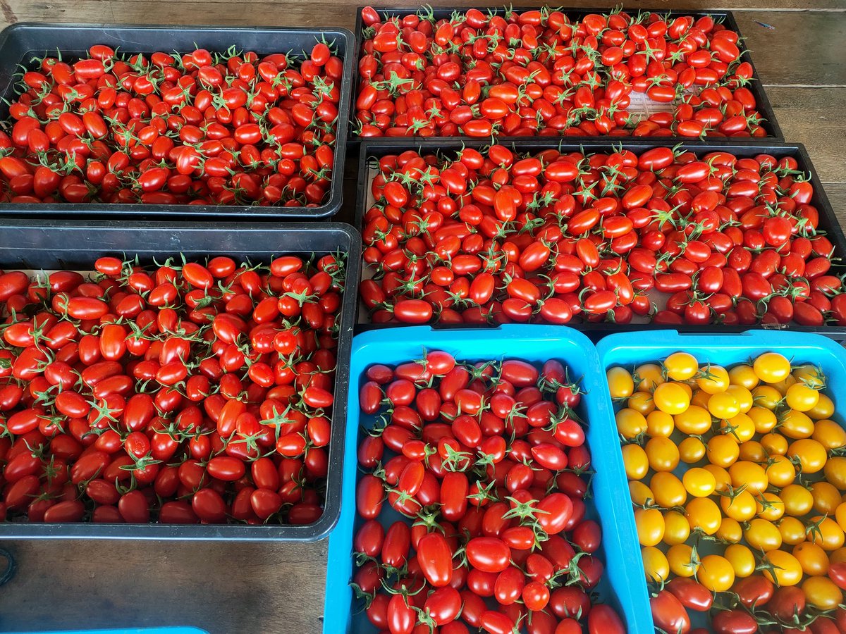 แม่น้องกรีน tweet media