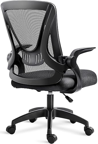 An item on my Throne wishlist just got fully funded: Blisswood Adjustable Office Chair, Desk Chair, Mesh Swivel Chair With 90° Flip-up Armrest Computer Chair With Lumbar Support Adjustable Height (Black) - Black. Thank you! throne.com/spiritlupine #Wishlist #throne