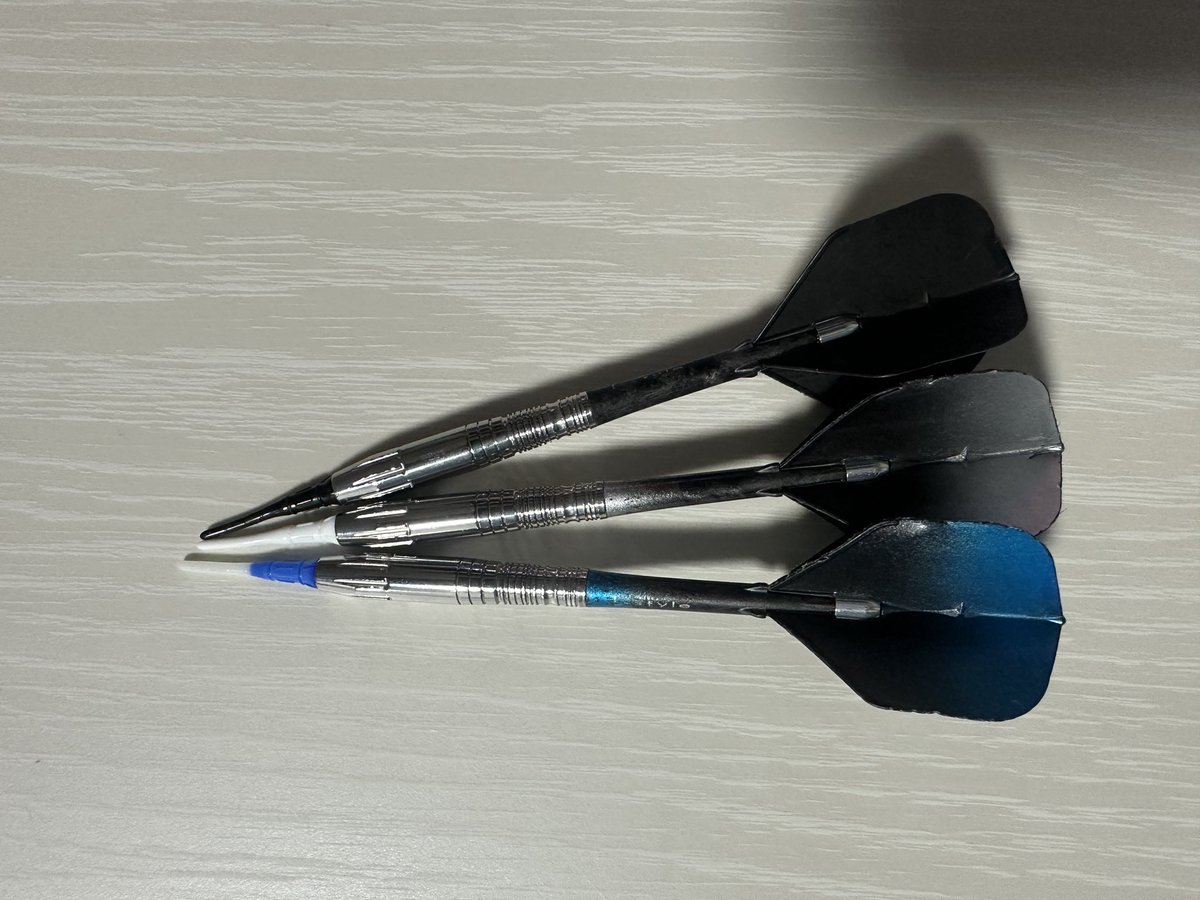 ✨セッティングコンテスト入選✨ マイダーツ3本の配色を違えつつもL