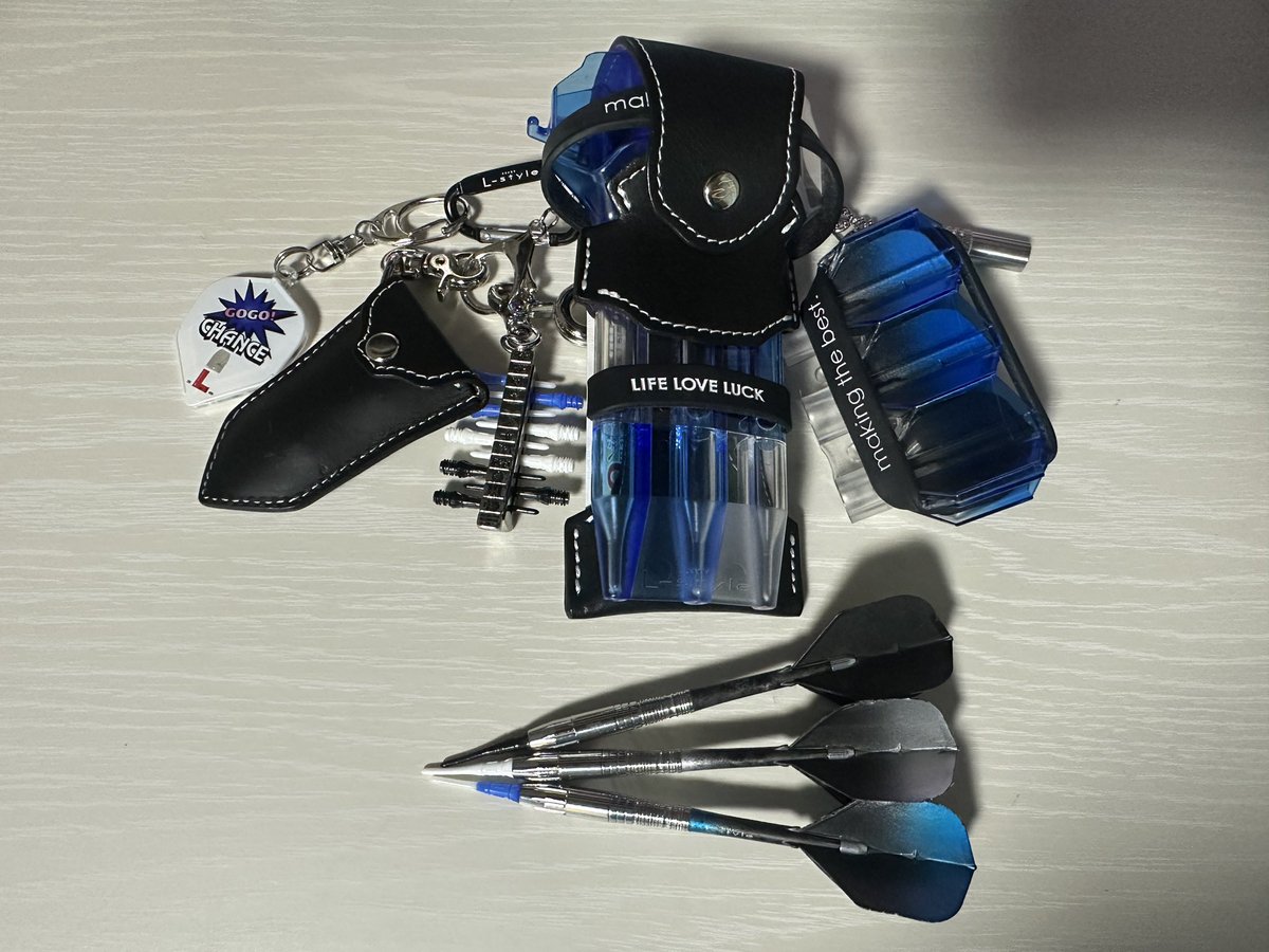 ✨セッティングコンテスト入選✨ マイダーツ3本の配色を違えつつもL