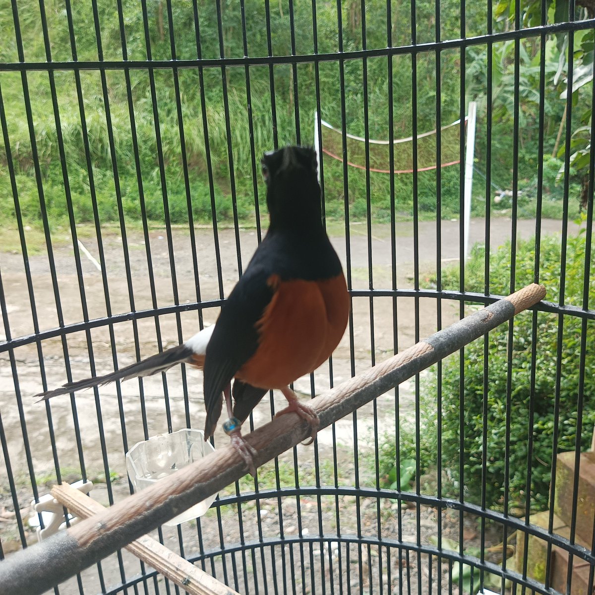 Sedikit pusing🙂‍↔️